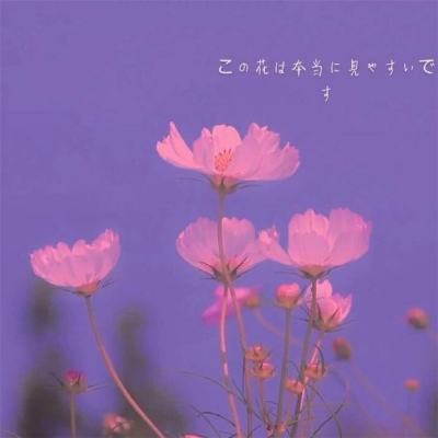 异世修仙官方版